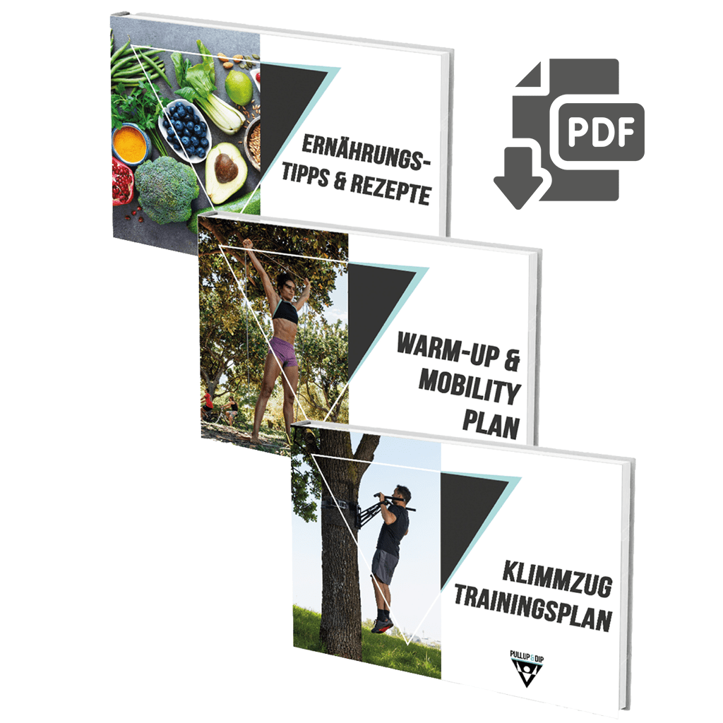 Türreck Klimmzugstange Bundle mit Klimmzugbändern und Trainingsguides