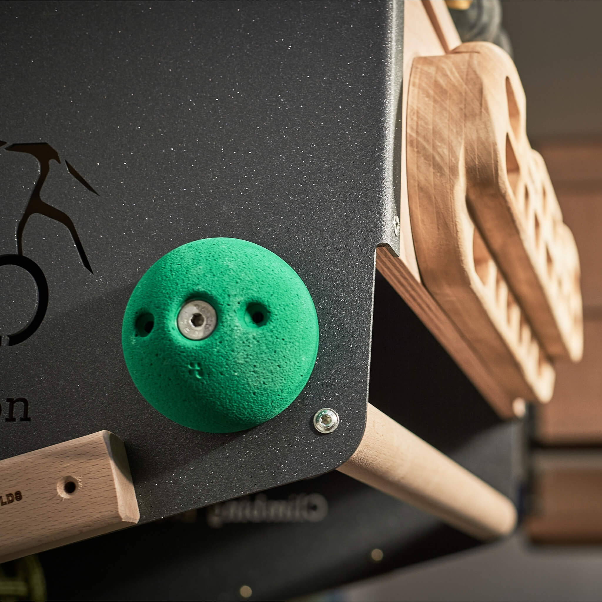 climbing wall at home