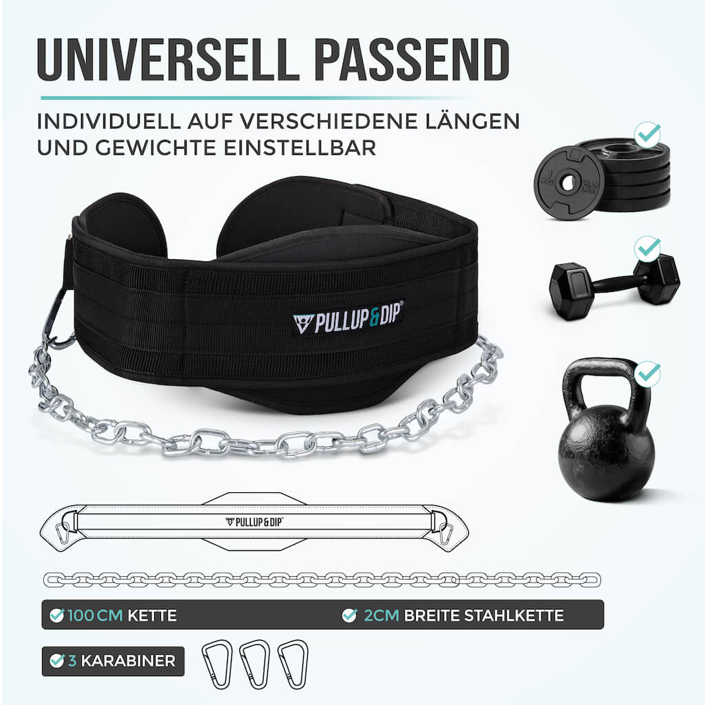 Dip belt with chain, 3 carabiners and unique flaps