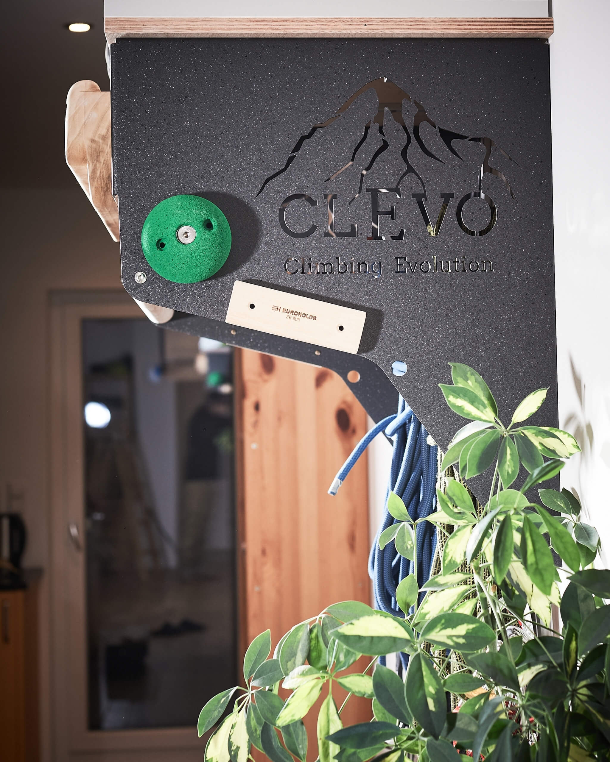 climbing wall at home