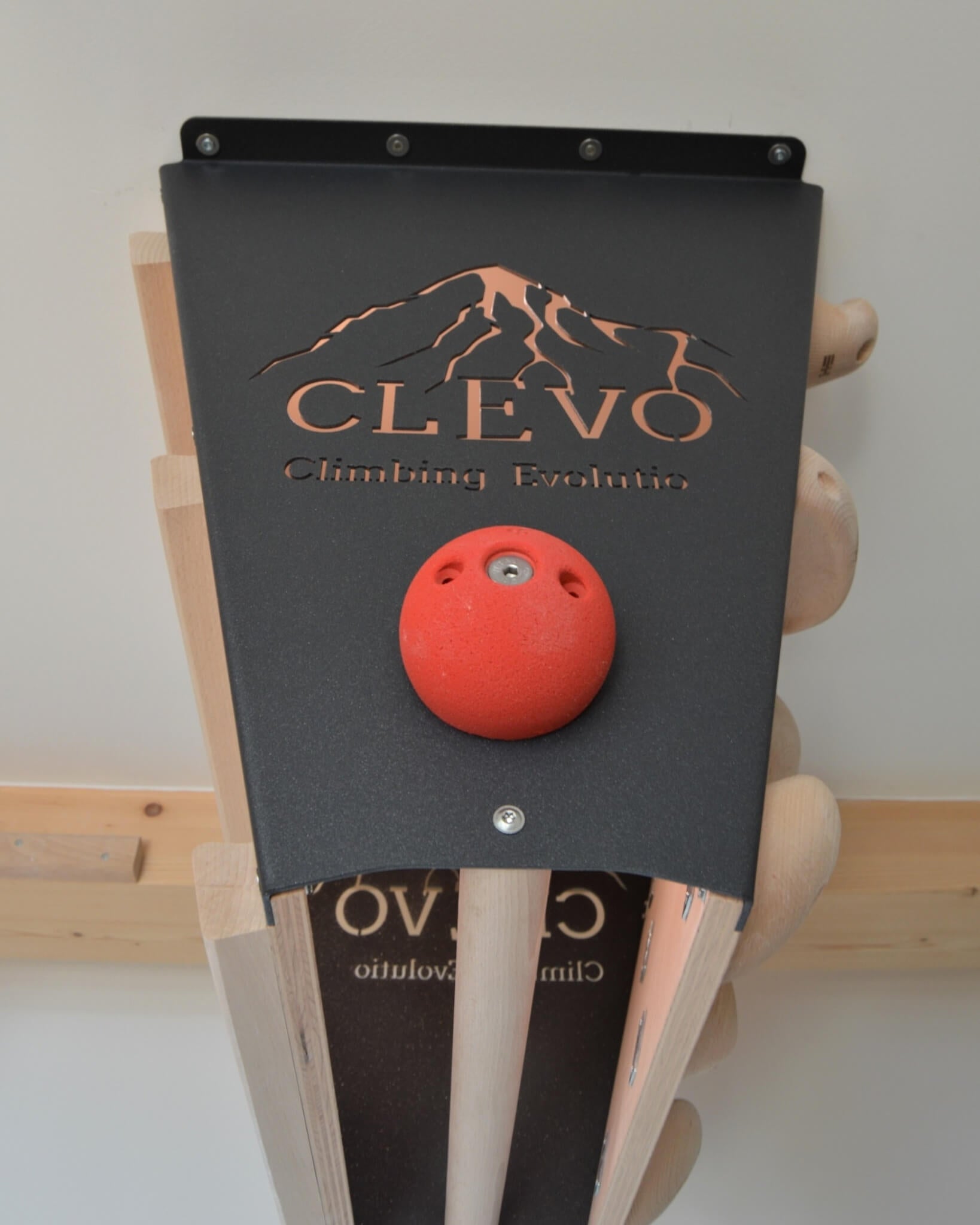CLEVO L: Deckenbefestigung Campusboard, Klettergriffe und Klimmzugstange