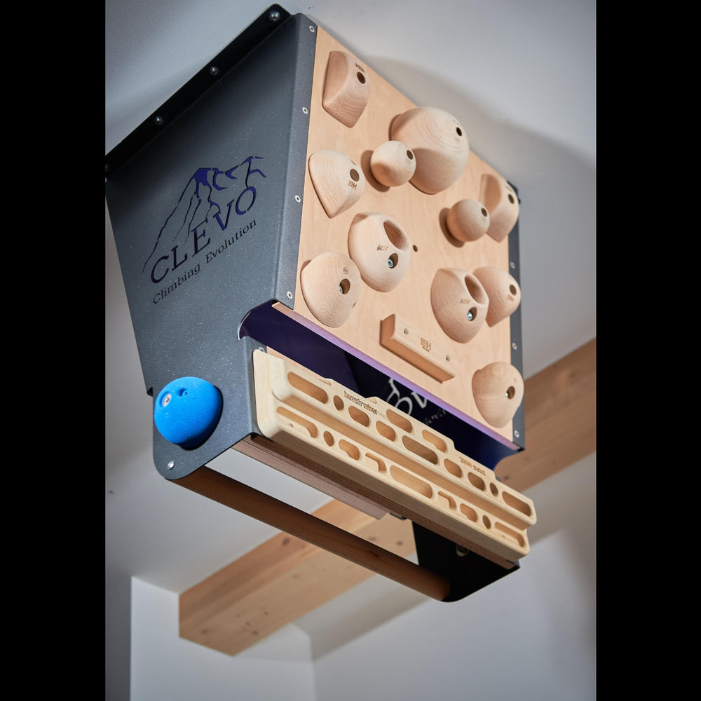 CLEVO XL : module d'escalade professionnel pour plafond pour Campus- et Hangboard, prises et barre de traction