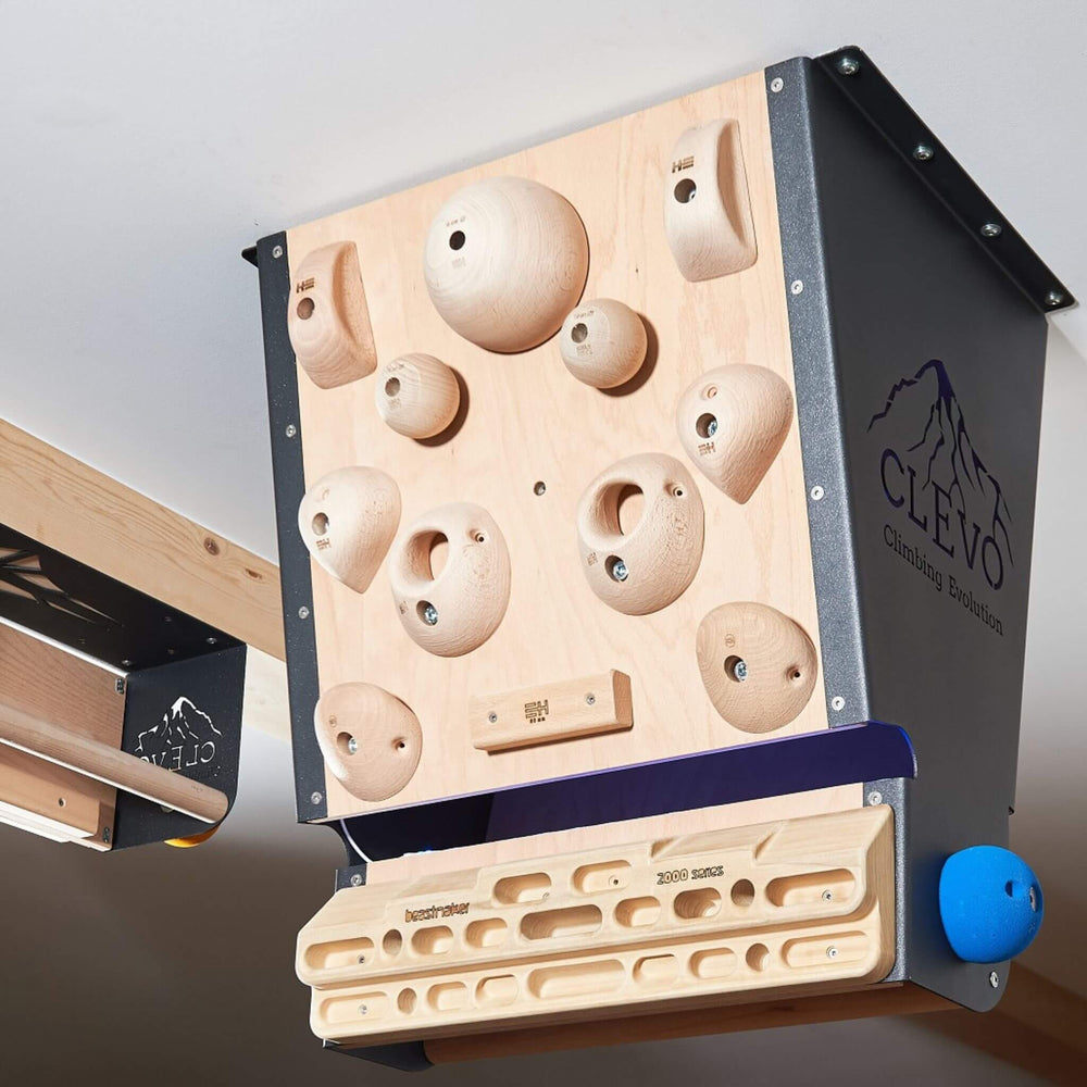Campus Rungs for Climbing Wall or CLEVO Modules