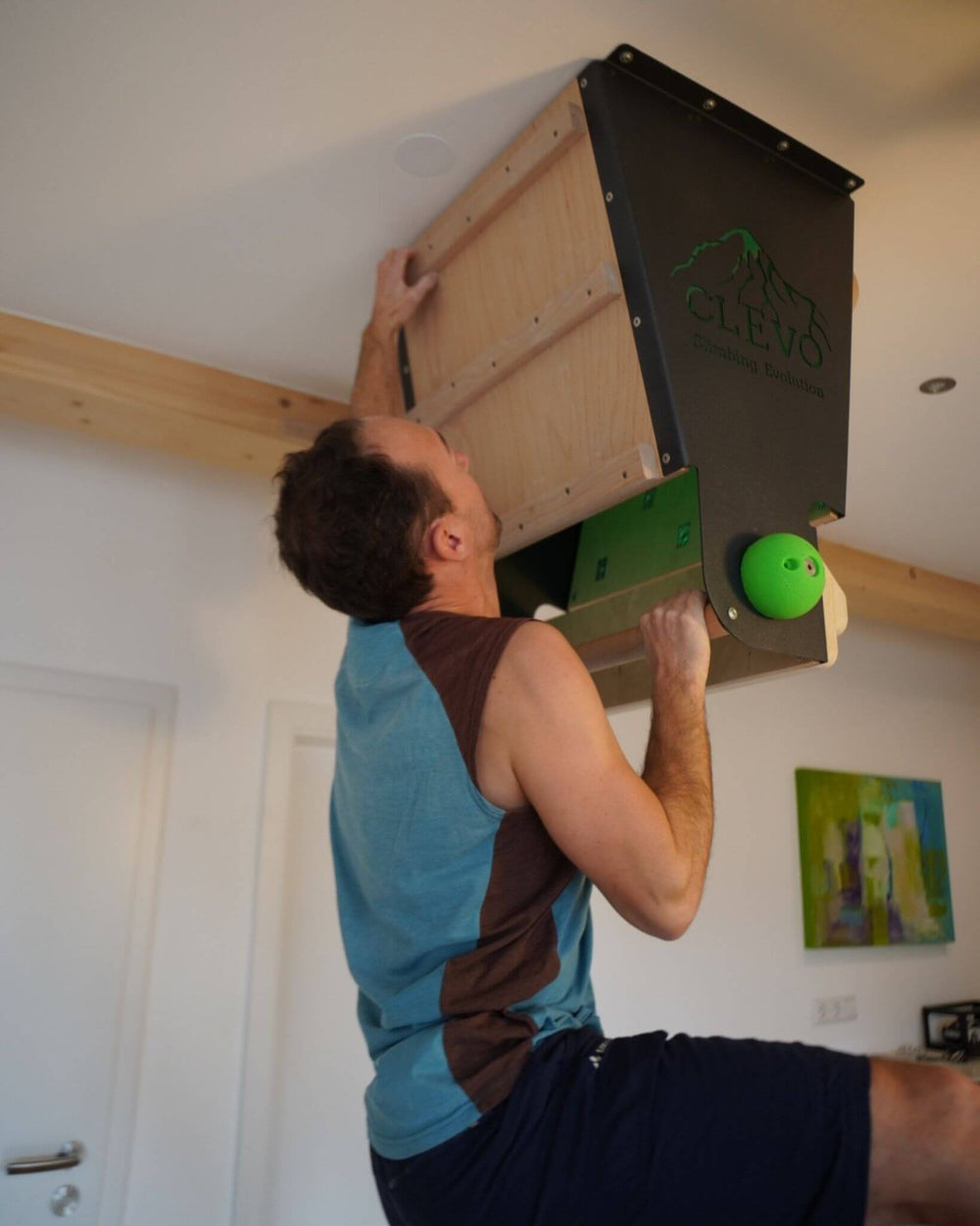 Campus Rungs for Climbing Wall or CLEVO Modules