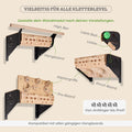 CLEVO WALL 2.0: Wall Mount for Hangboard, Campus Rungs & Climbing Gear