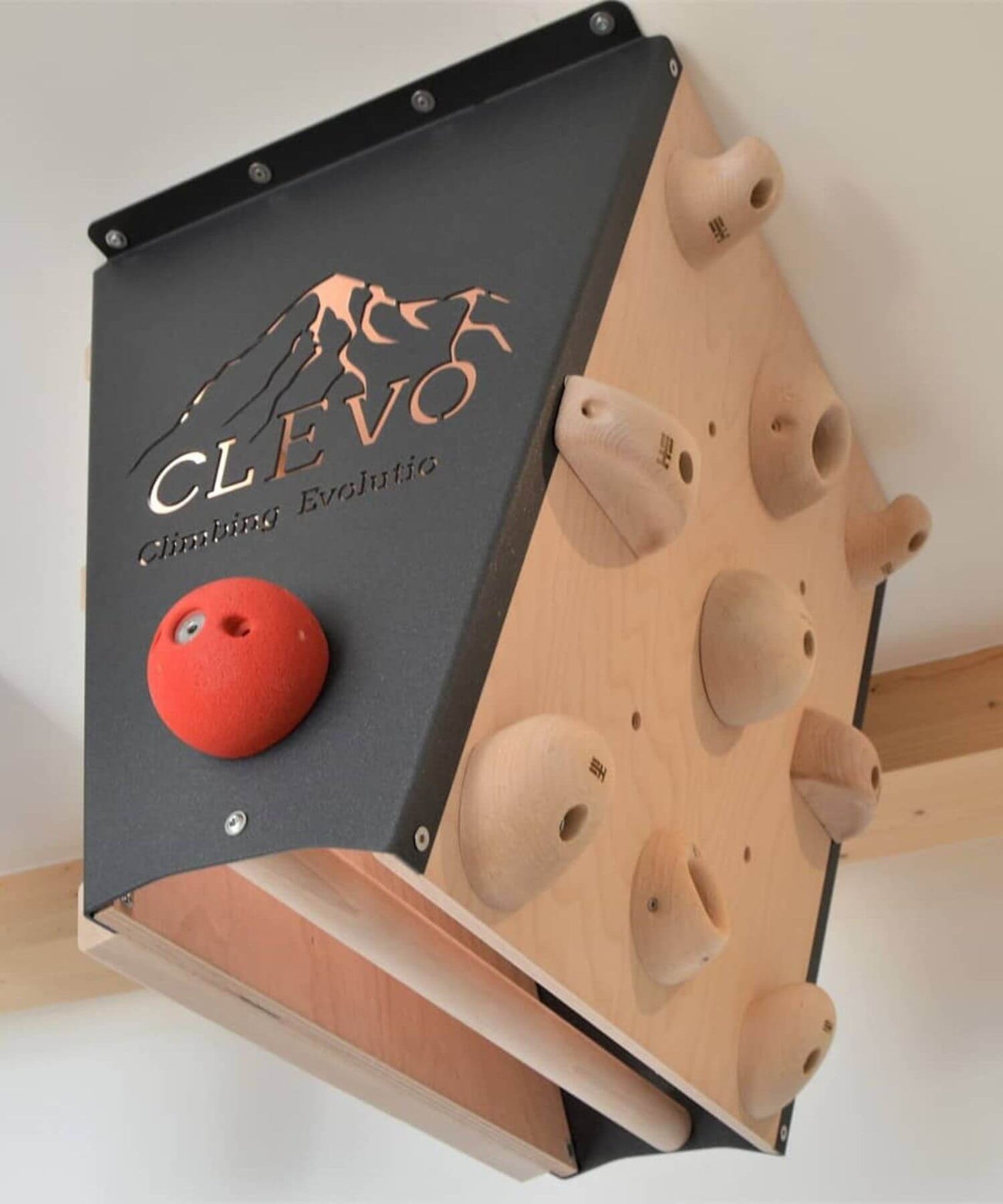 Gallery of Clevo climbing modules for home