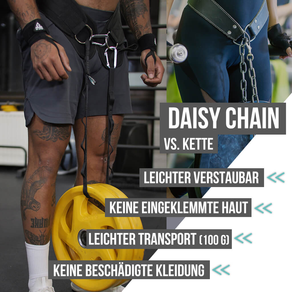 Daisy chain, dip belt rope