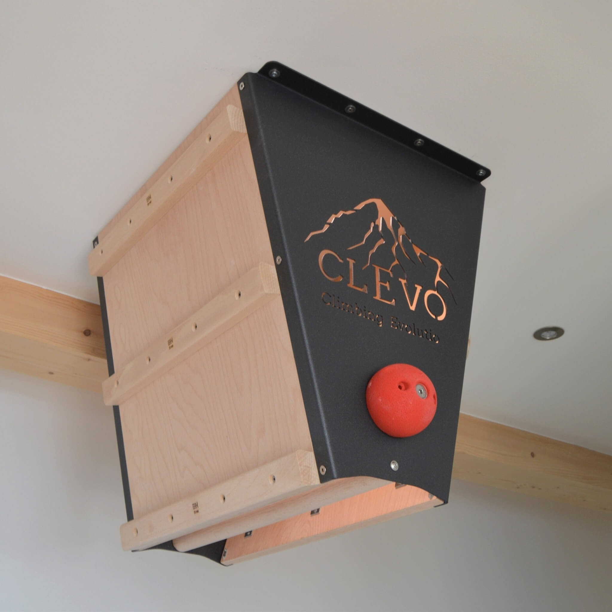 CLEVO L : fixation au plafond Campusboard, prises d'escalade et barre de traction