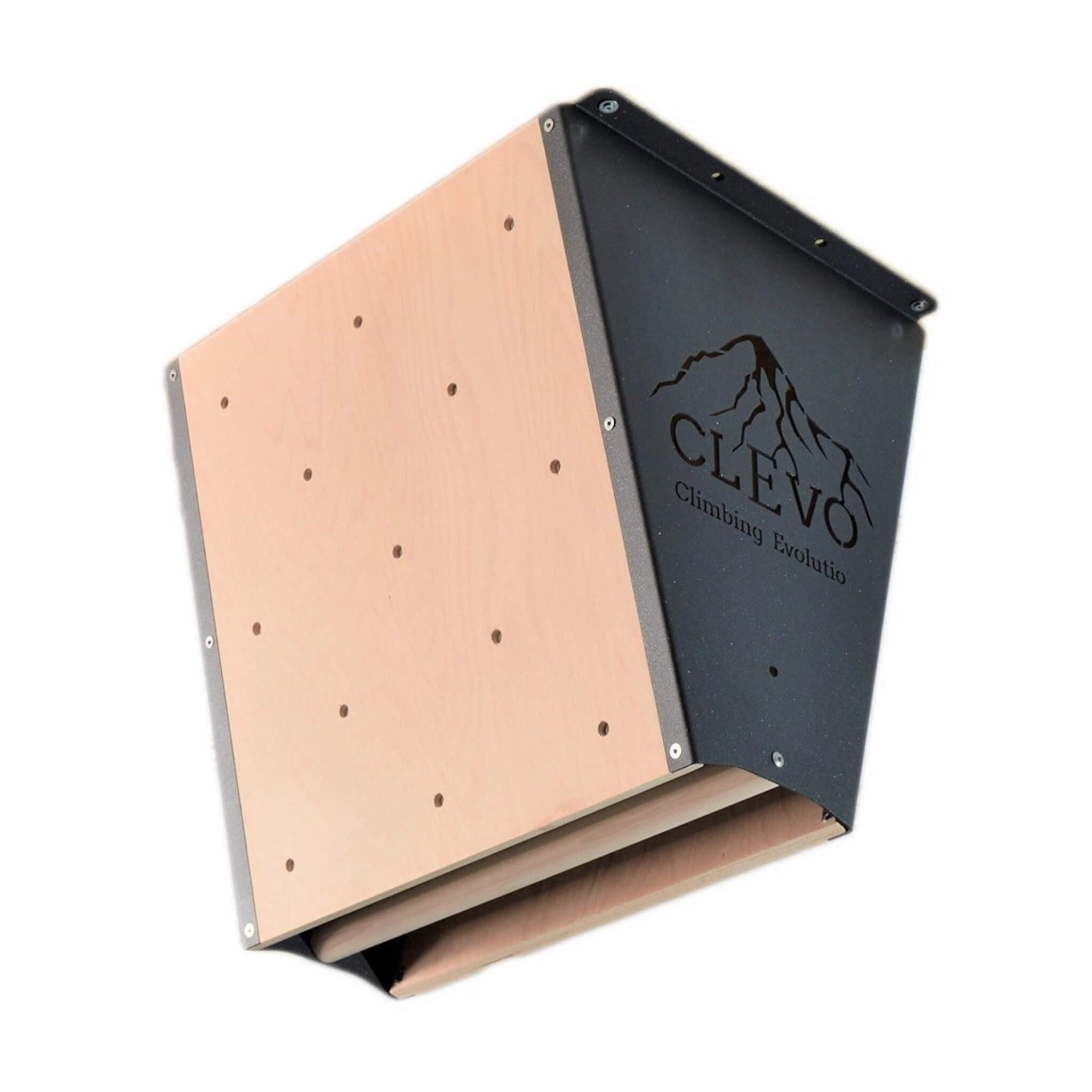 CLEVO L : fixation au plafond Campusboard, prises d'escalade et barre de traction