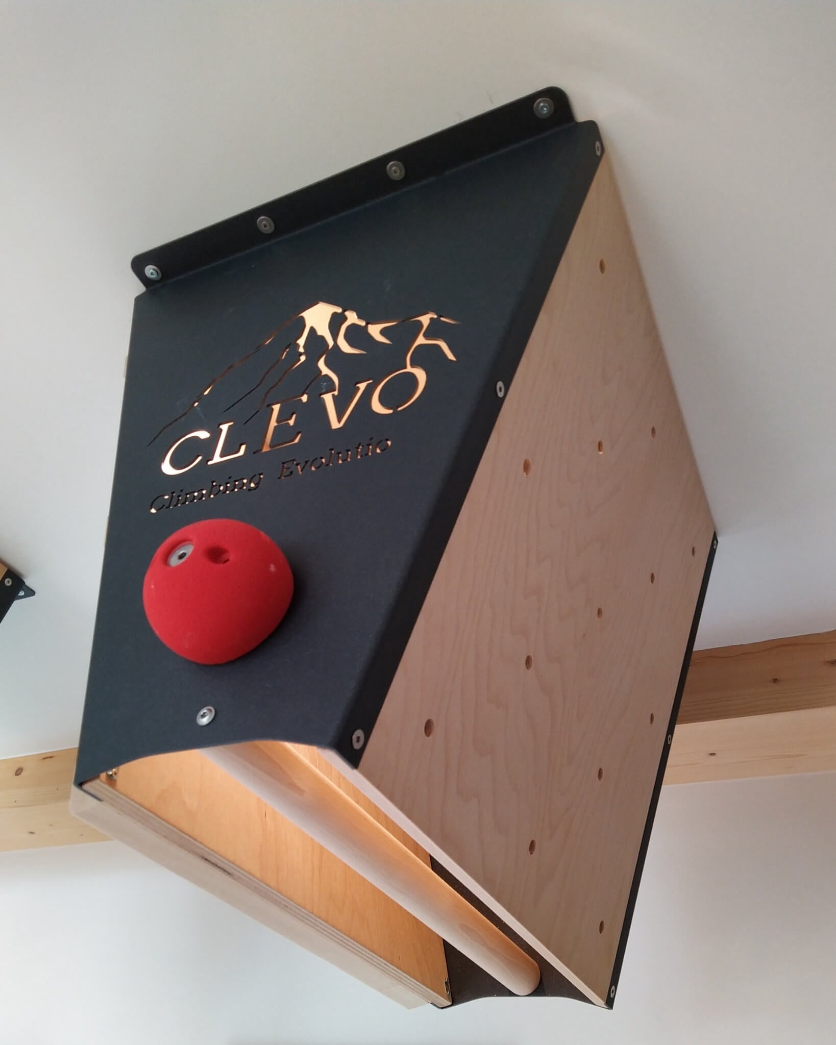 CLEVO L: Ceiling mount campus board, climbing handles and pull-up bar