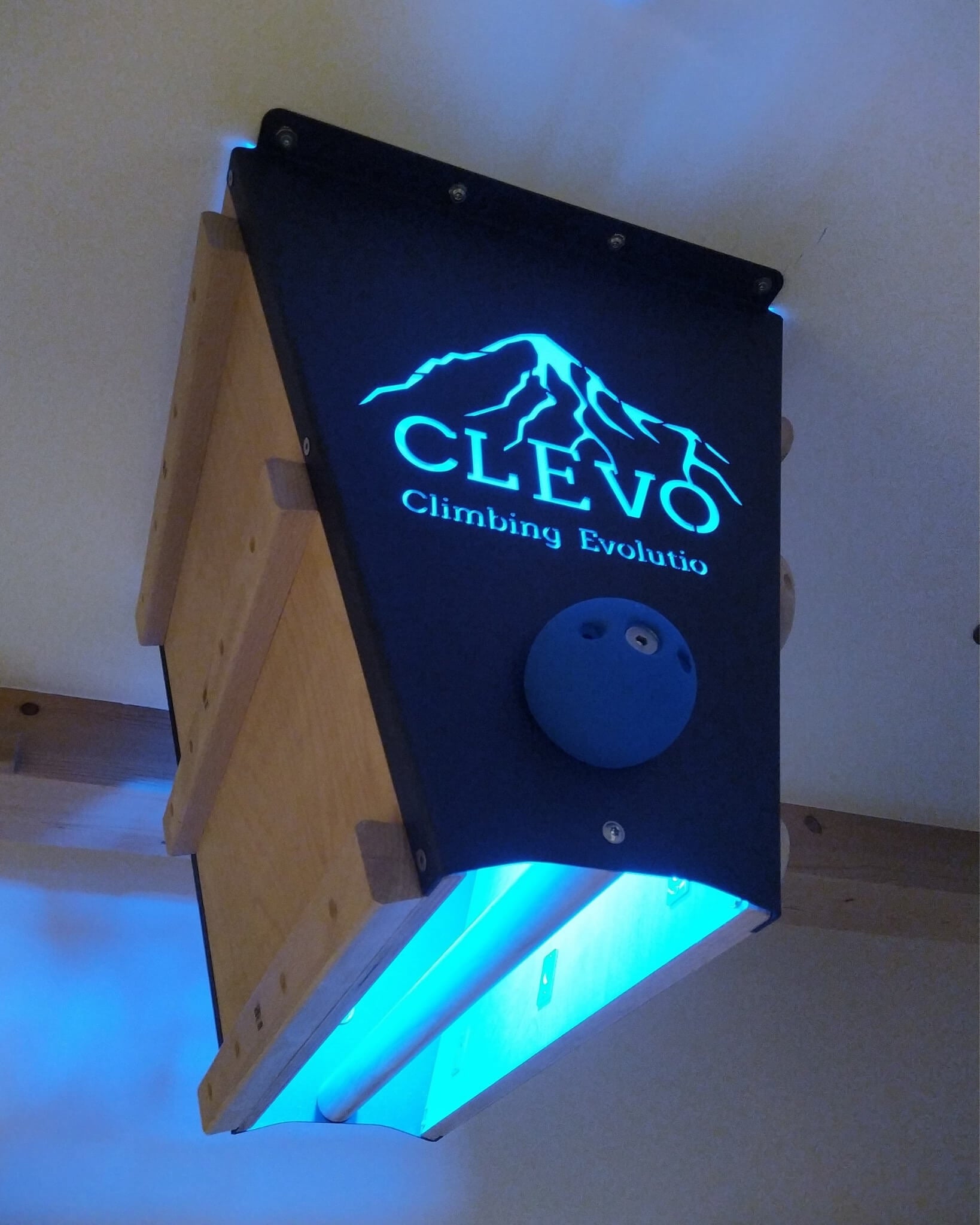 CLEVO L : fixation au plafond Campusboard, prises d'escalade et barre de traction