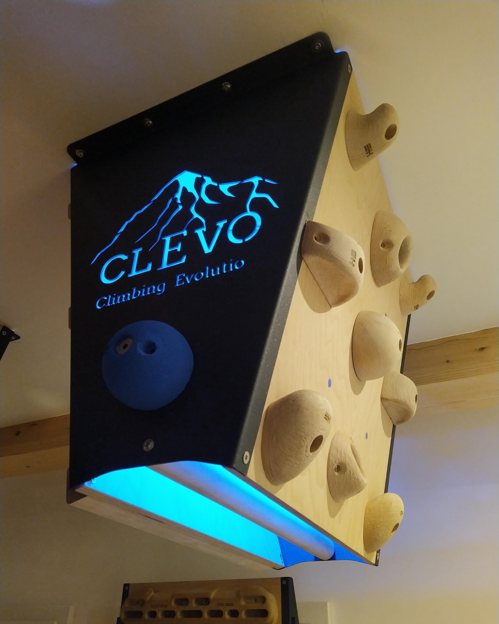 CLEVO L: Deckenbefestigung Campusboard, Klettergriffe und Klimmzugstange