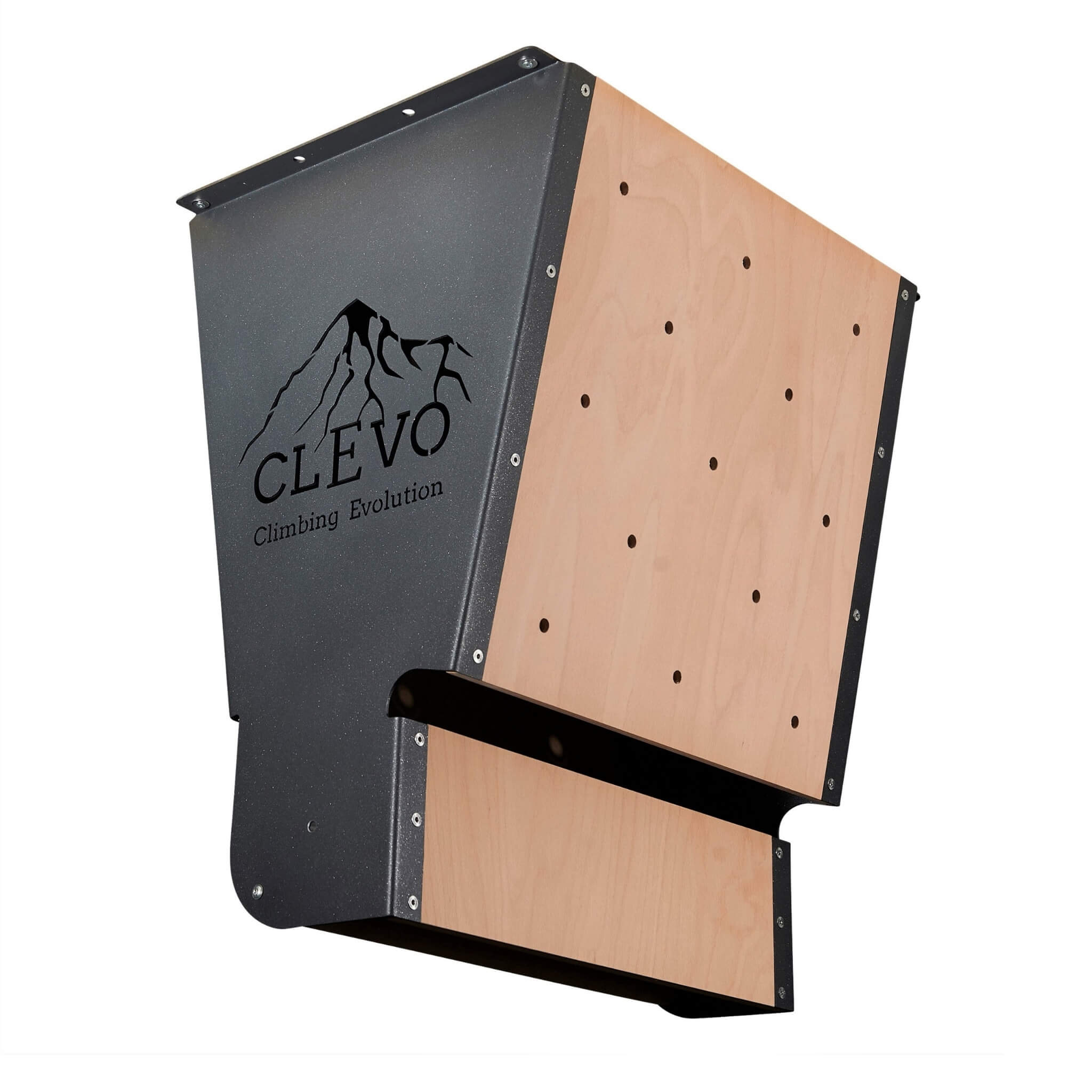 CLEVO XL : module d'escalade professionnel pour plafond pour Campus- et Hangboard, prises et barre de traction