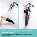 Wall Mounted Pull-up Bar incl. Pull-up Assist Band