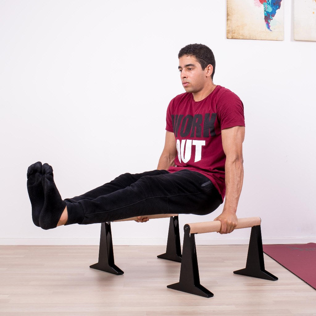 Pullup and dip discount parallettes